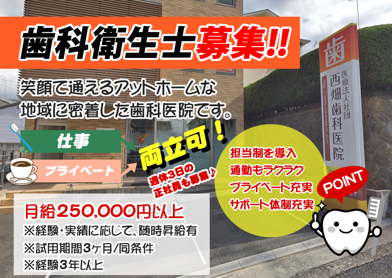 【CareNavi】（ケアナビ） | 医療・歯科・介護・保育の求人‎