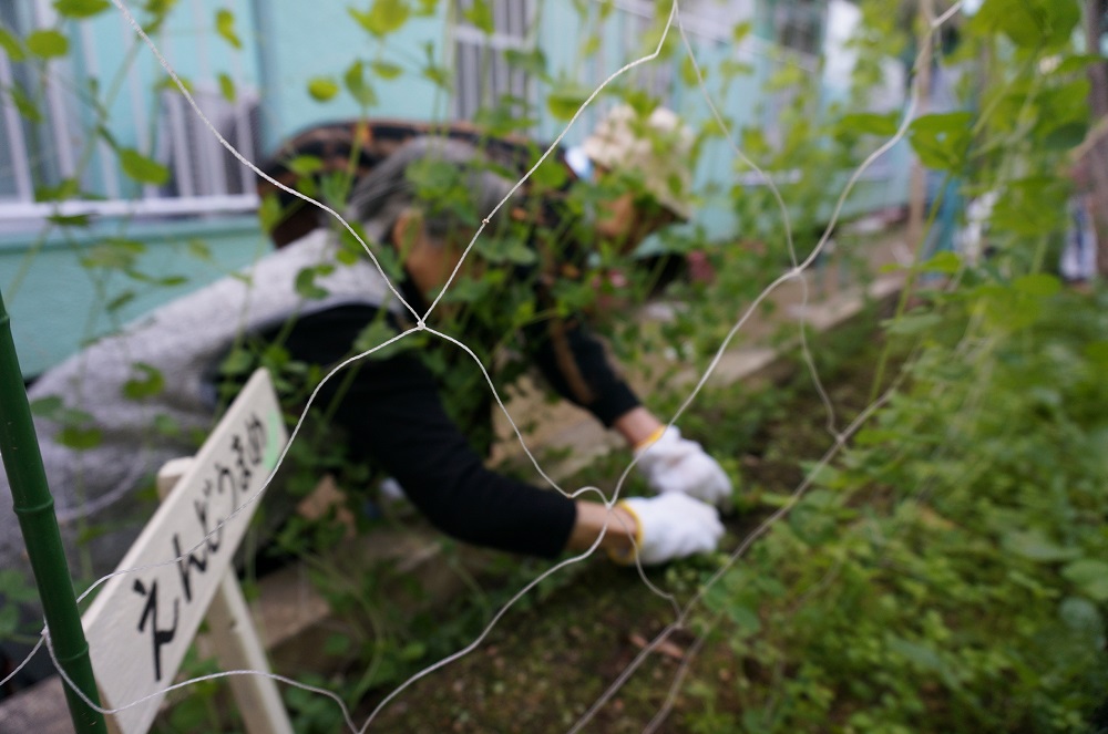 【CareNavi】（ケアナビ） | 医療・歯科・介護・保育の求人‎