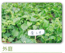 【CareNavi】（ケアナビ） | 医療・歯科・介護・保育の求人‎