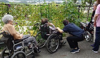 【CareNavi】（ケアナビ） | 医療・歯科・介護・保育の求人‎